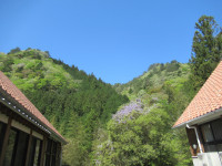 IMG_8572