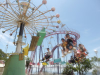IMGP0255