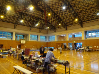 DSC07384